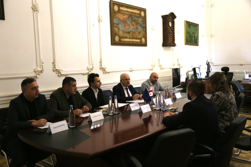 Prof. Dr. Dr. Lela Janashvili met with the President of the Constitutional Court